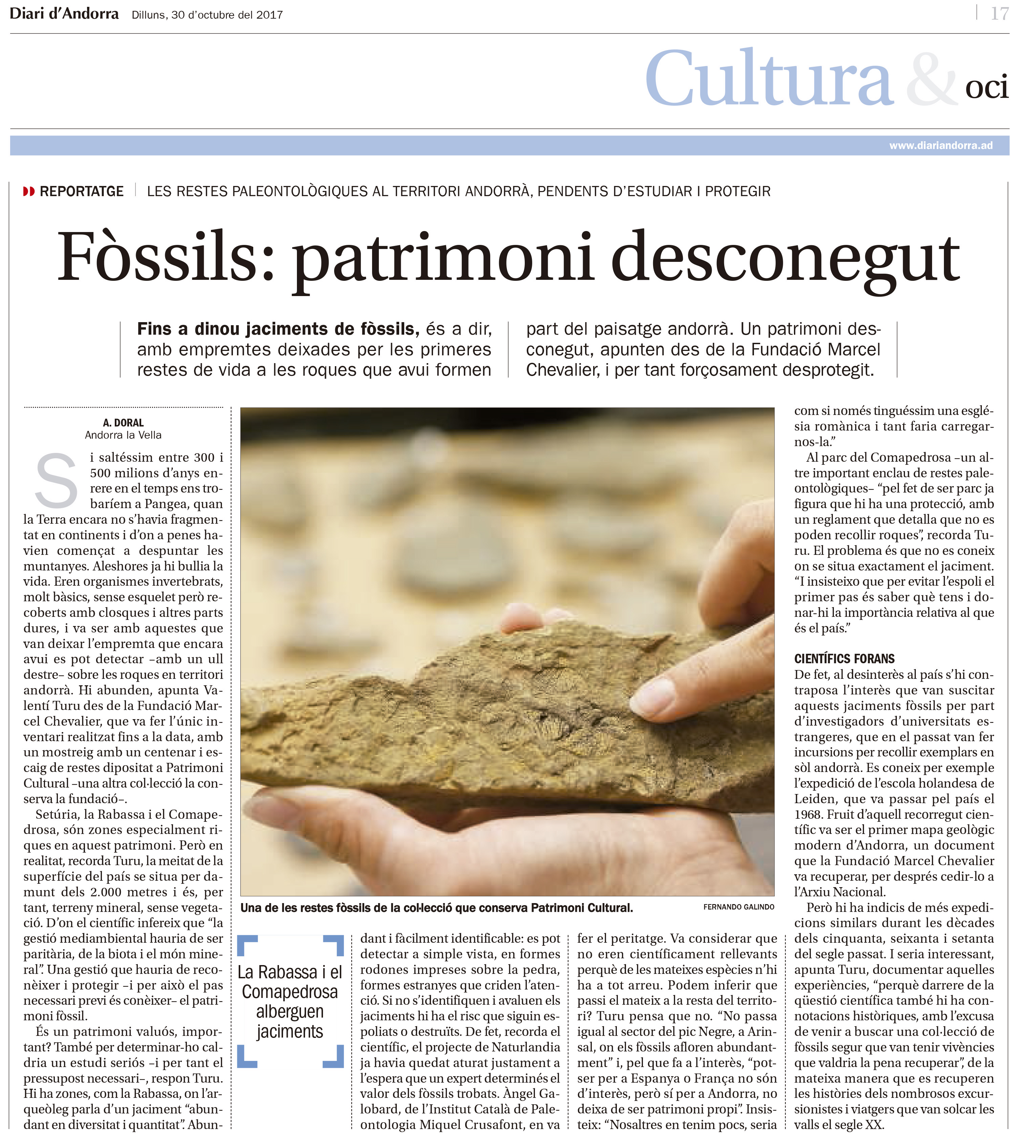 fossils