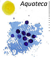 Aquateca